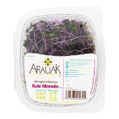 KALE MORADO ARAUAK MICROGREENS 25G